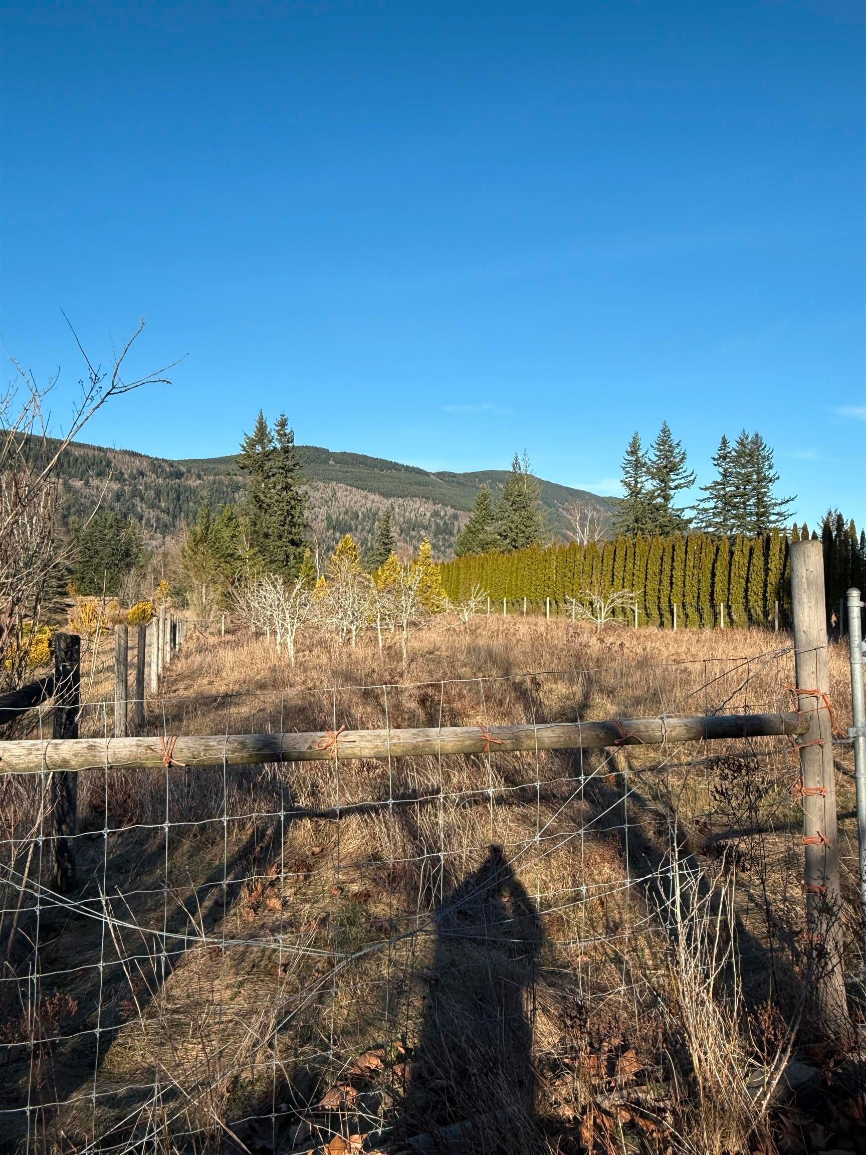 Property photo 07c623e8-a4f3-4e67-998b-5c9e4734f7d4