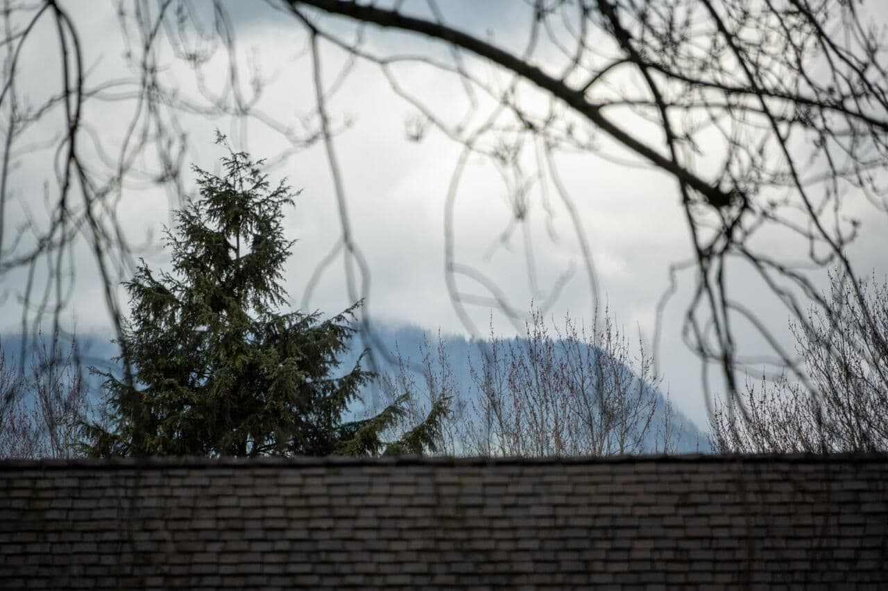 Property photo 36994389-baaa-42d1-9589-793a1176500b
