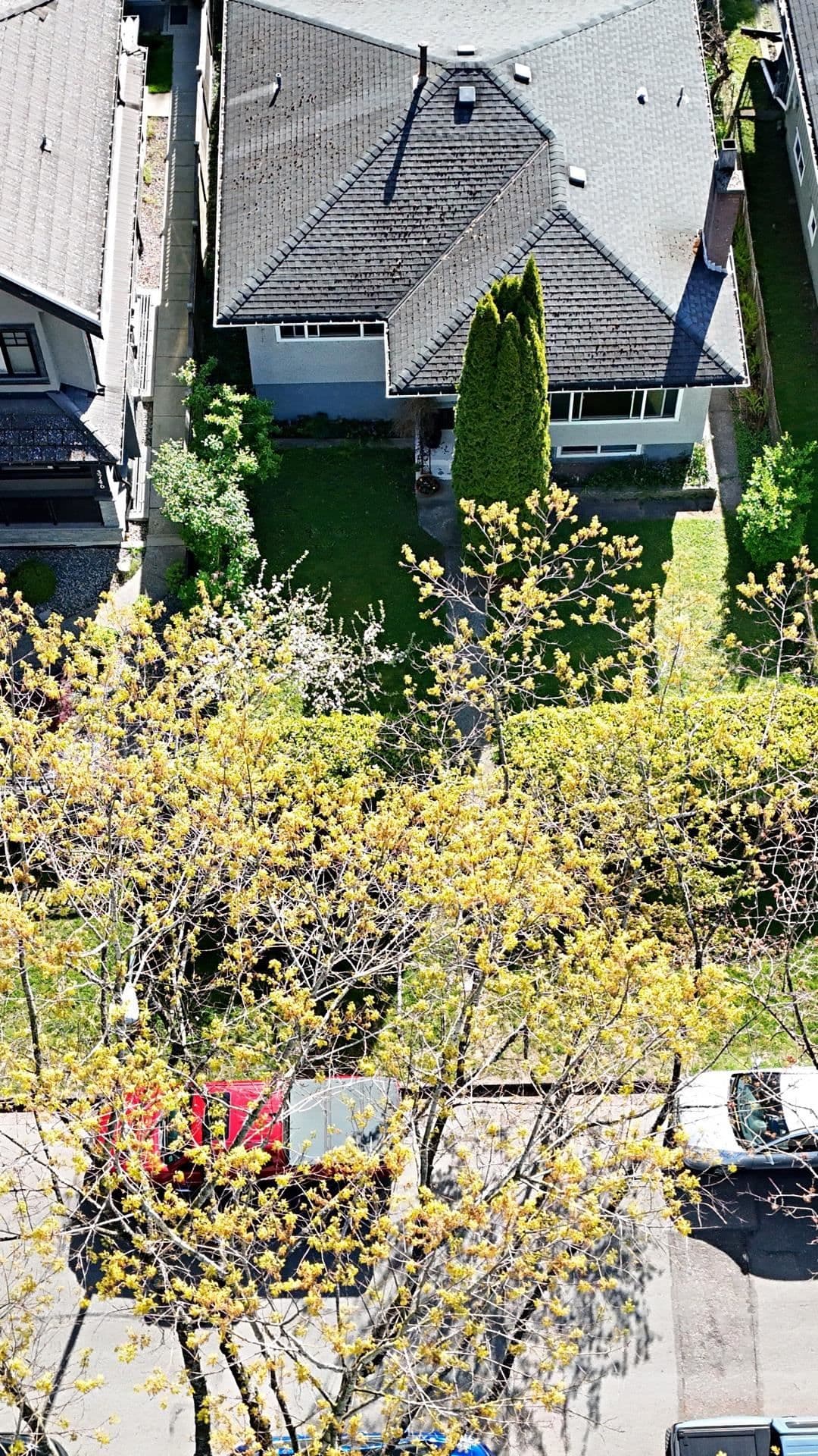 Property photo 3e82cce5-3490-4047-9452-a9b297bb63c2