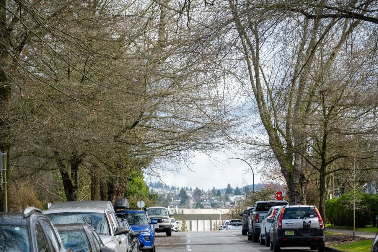Property photo 8c404ad9-33b8-4245-8cf6-6cc1a7b452a6