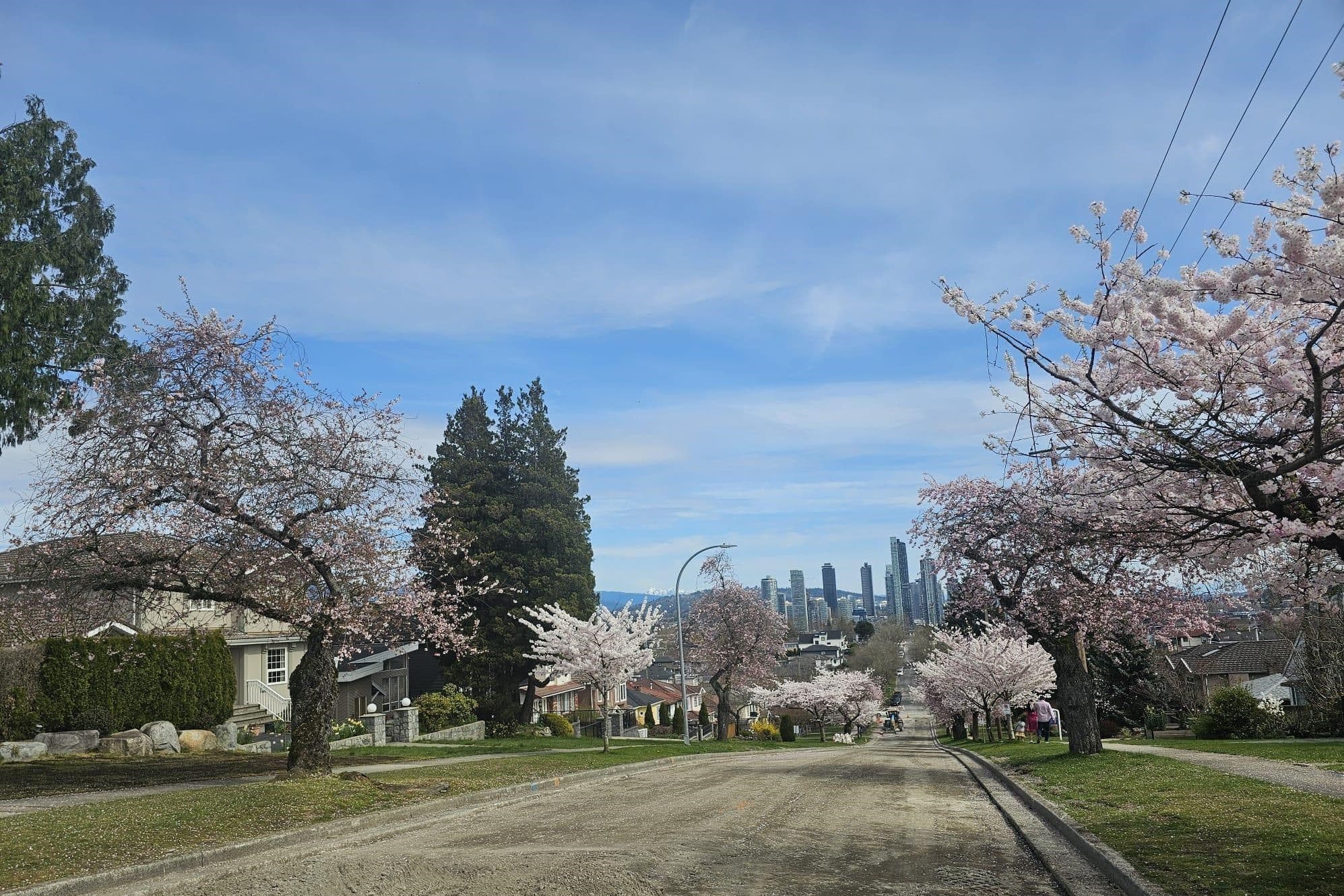 Property photo 8e833d16-4a6e-438d-95f7-c346d786eb0b