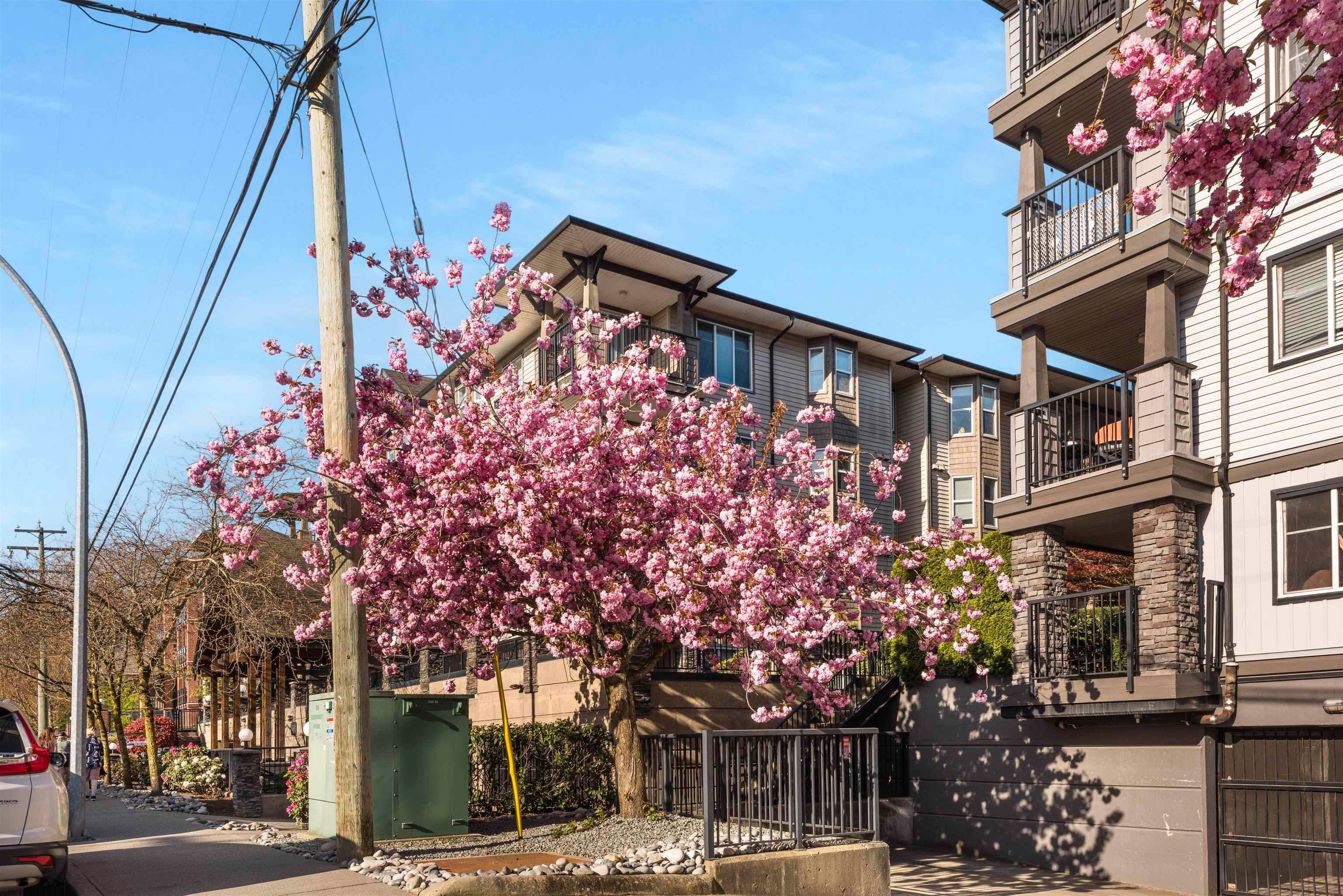 Property photo cb929517-0615-42e6-95ad-aa1df9ed1ba4