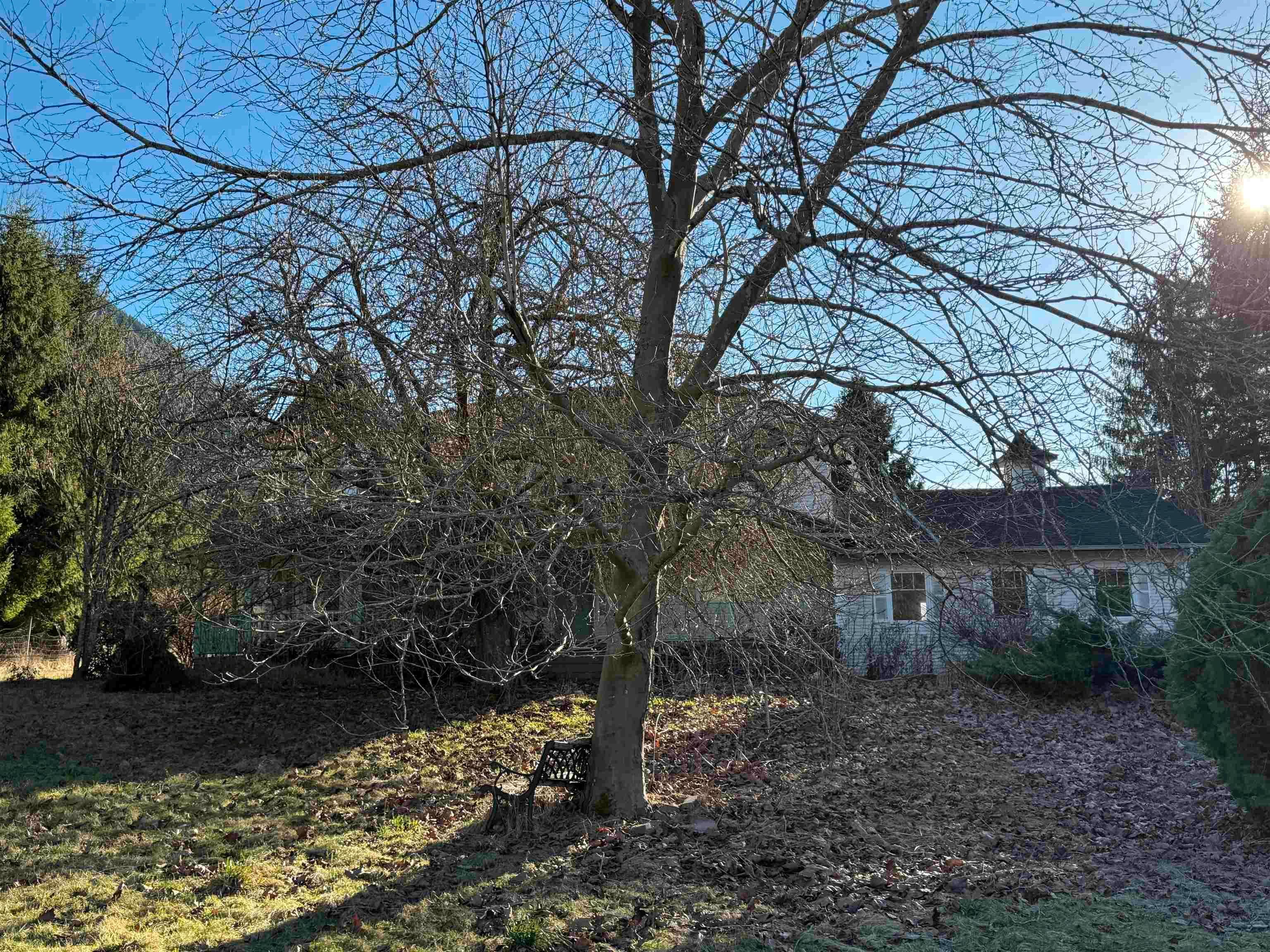Property photo cce3ca7a-e02d-4a65-97e4-f5d7ffa78cf9