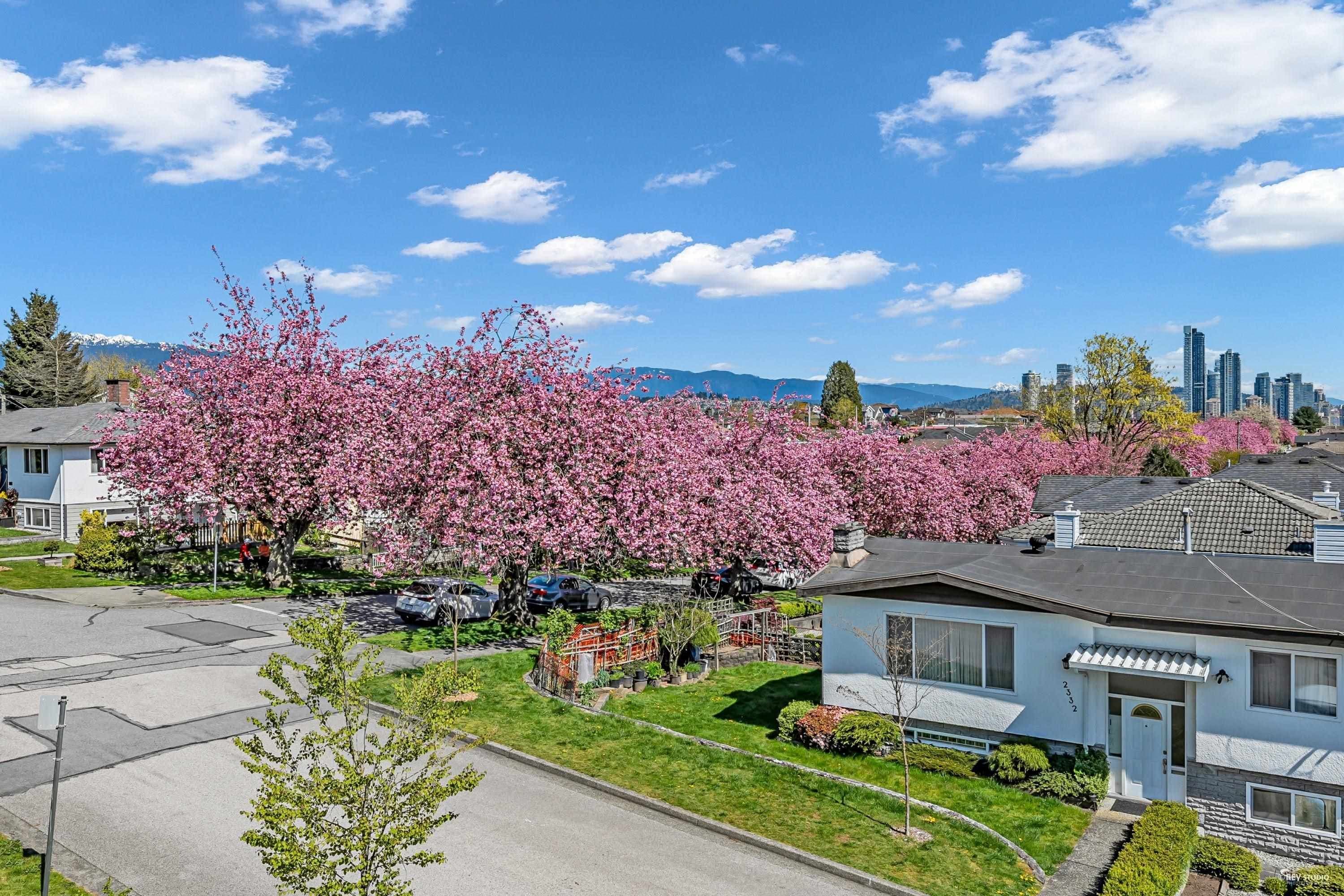 Property photo e4c0a84c-dc29-4d80-a3e5-72eb7e6dc6b8