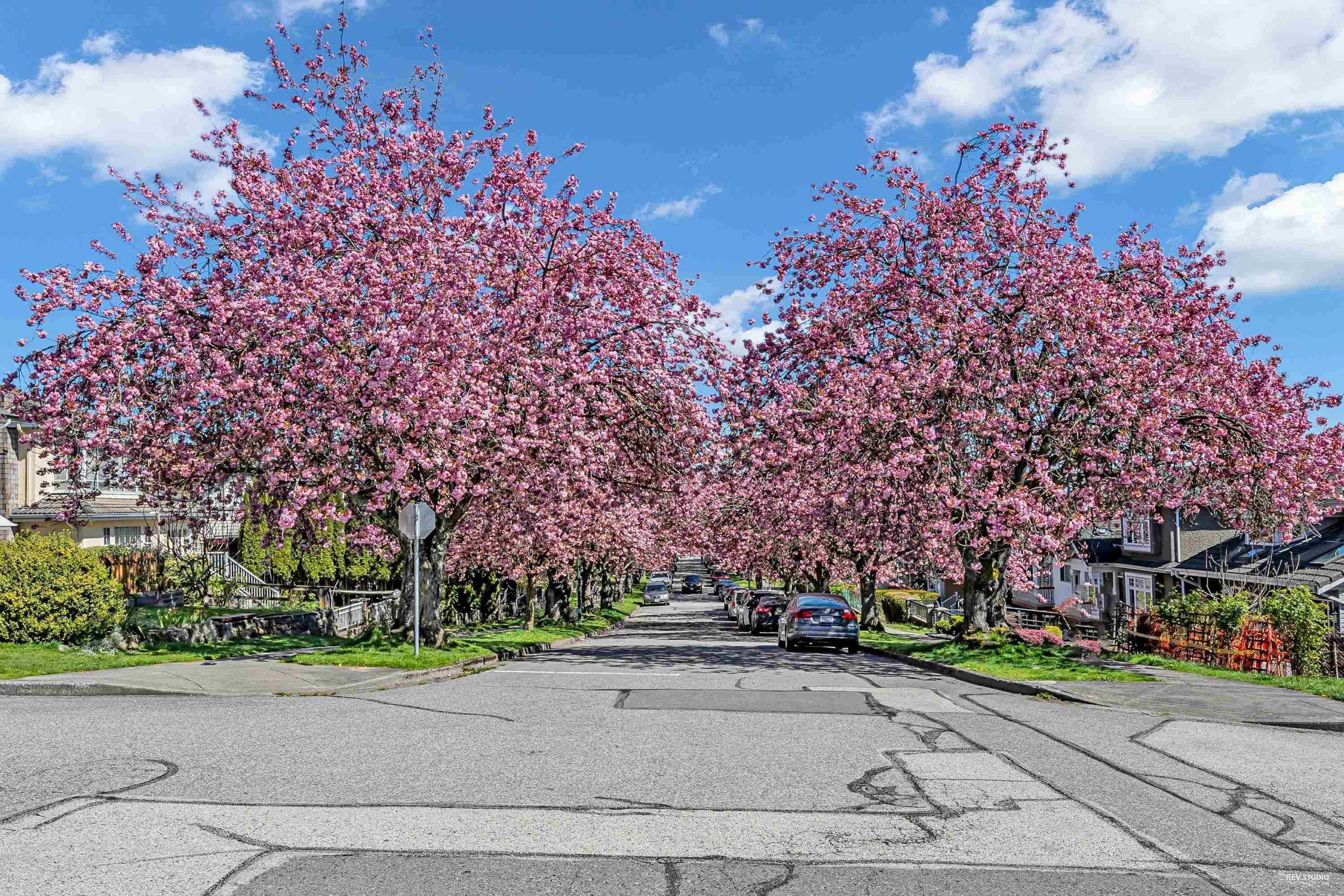 Property photo ed4f7f77-b5d5-4aac-91b9-3131830f06be