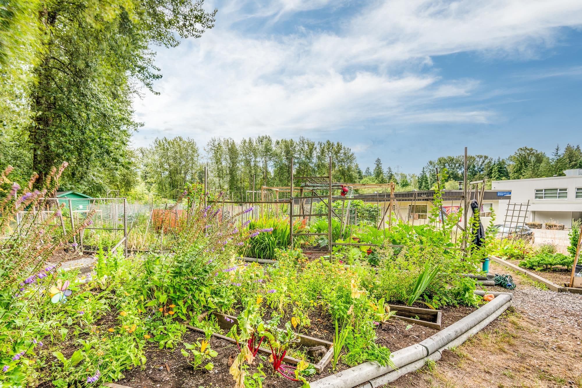 Property photo fdc8a158-db1e-4e35-8c8f-14237d716ff1