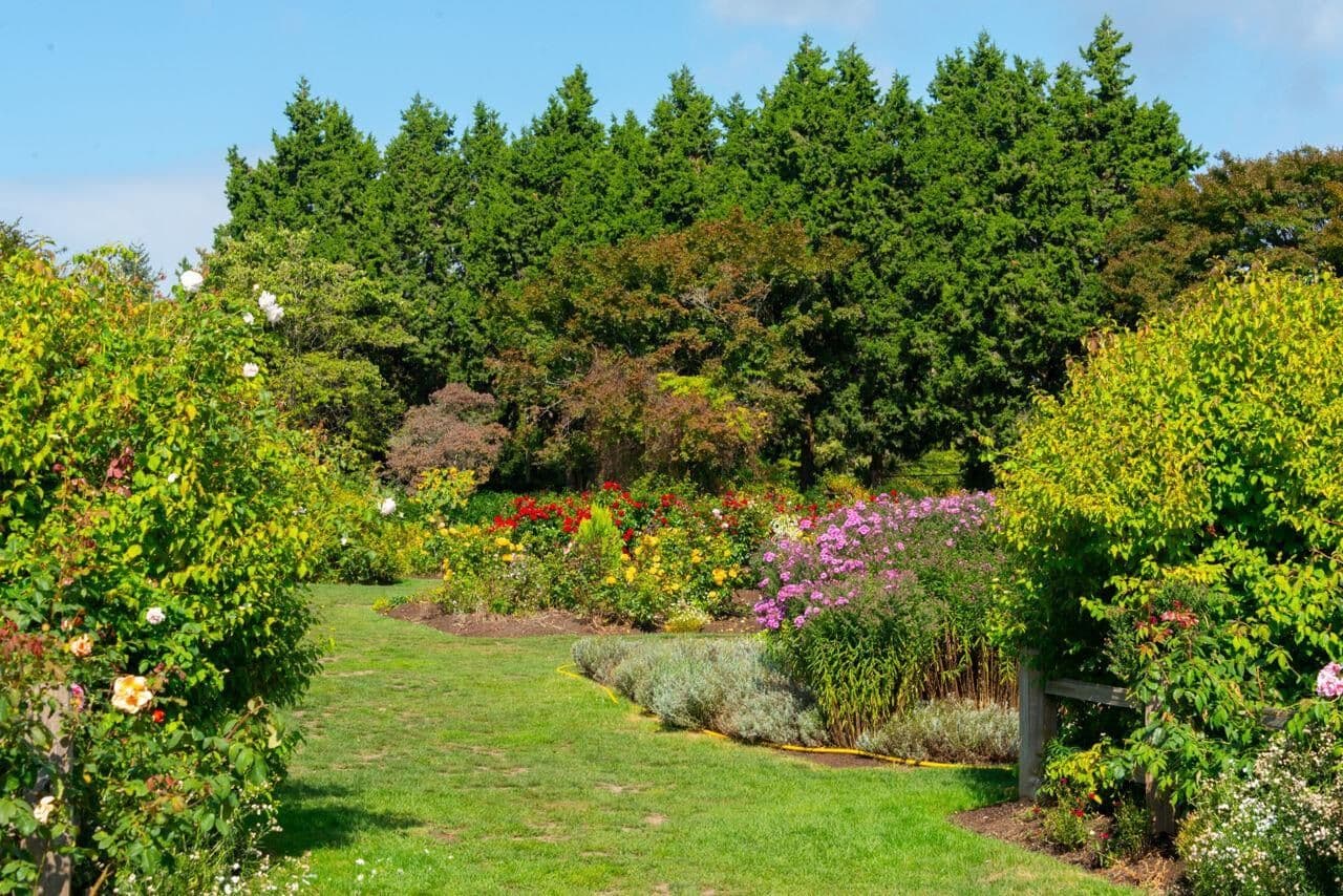 Property photo c78e0c69-b961-4c6c-b3df-3f02dbc17215