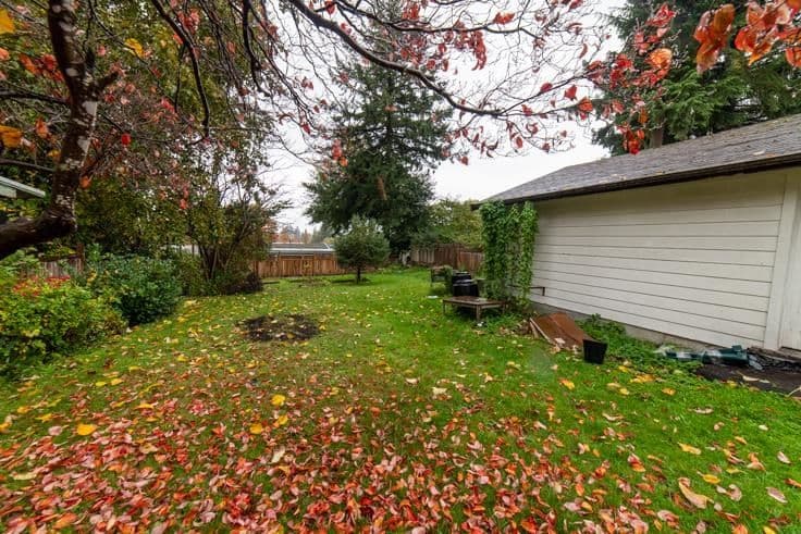 Property photo 89624d2c-58be-4fa3-89b4-4d4f3c719500