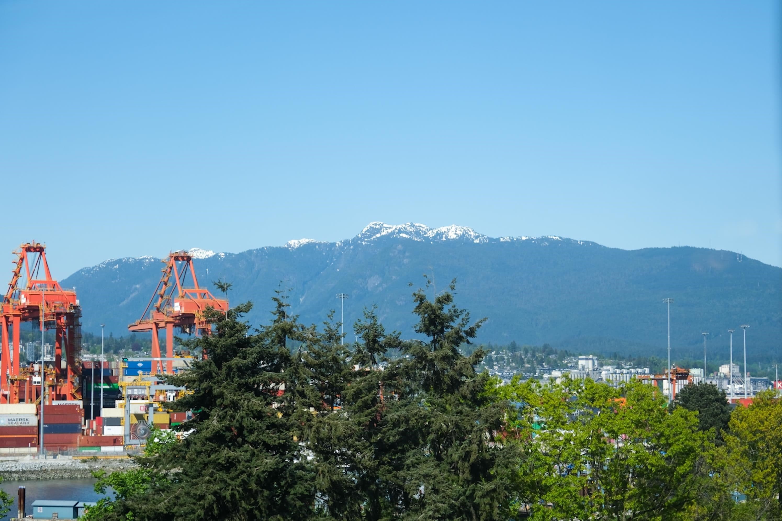 Property photo 98de654b-36f6-4bb0-8b8f-3b213f9ffdc5