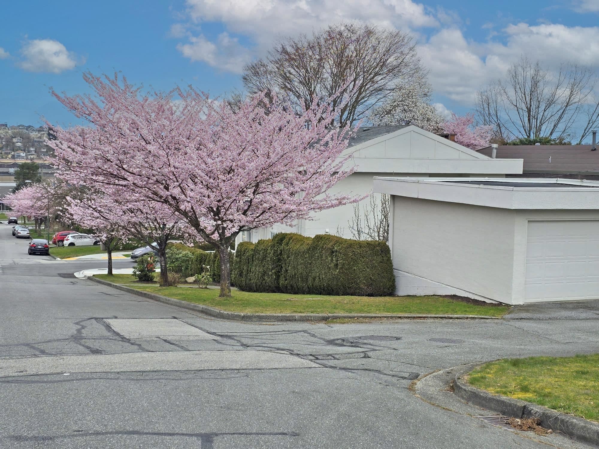 Property photo f39f6fcd-018d-4ac7-ac41-dde5095e122f